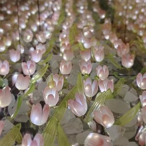 无忘（原唱：张靓颖）