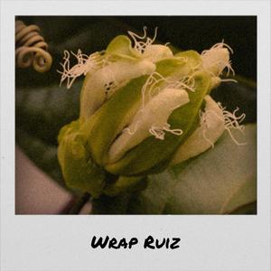 Wrap Ruiz