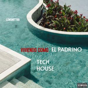 VIVIENDO COMO EL PADRINO