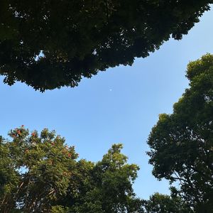 活在焦虑