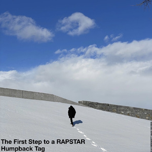 The First Step to a RAPSTAR