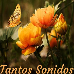 Se pasan