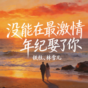 没能在最激情年纪娶了你