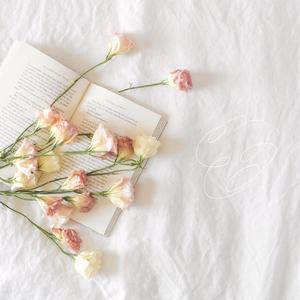 花（Flower）（伴奏）