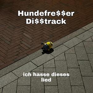 ich hasse dieses lied