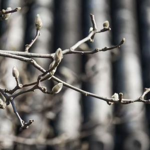 某天行走冬阳下