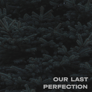 Our Last Perfection
