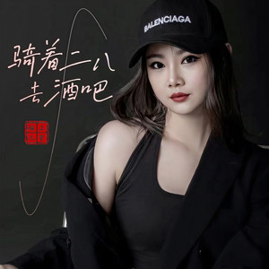 骑着二八去酒吧 (DJ沈念版)