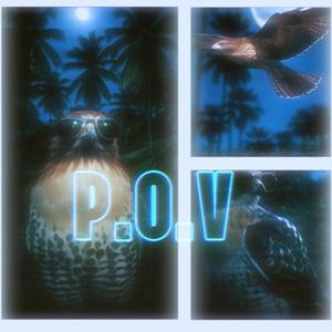 P.O.V
