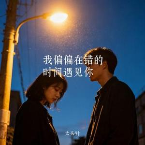 我偏偏在错的时间遇见你