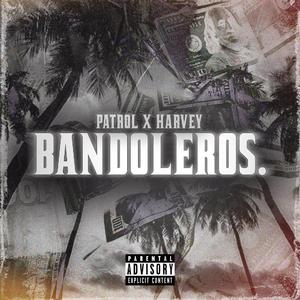 BANDOLEROS.