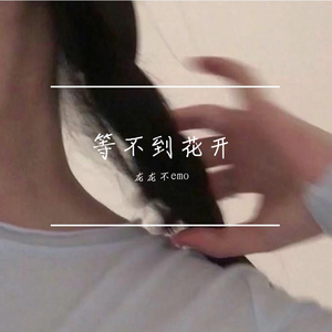 等不来花开（完整版）