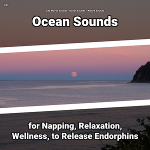 Ocean Sounds