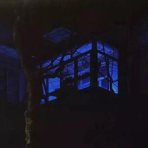 情歌（翻自 简弘亦）