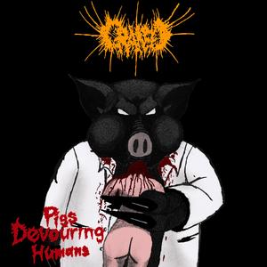 Feeding Pigs with Female Flesh