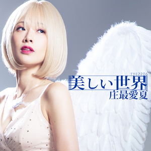 美しい世界