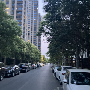 《水中央的泪与念》.wav