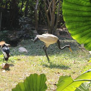 流浪与夜(主旋)