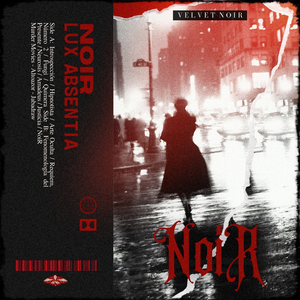 NoiR