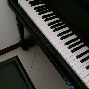 蝴蝶（钢琴纯音乐）