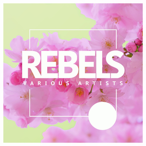 Badar (Original Mix)