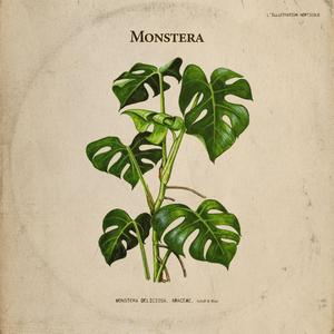 Freestyle Monstera