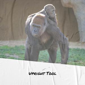 Upright Tool