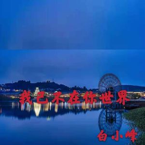 我已不在你世界