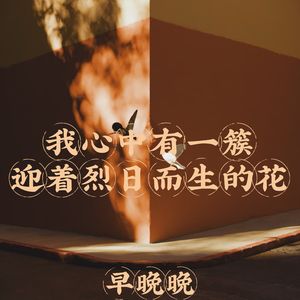 我心中有一簇迎着烈日而生的花