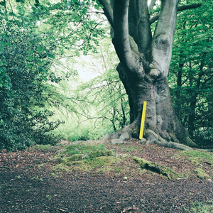 Sequential Circus (Gui Boratto Remix)