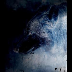 Lone Wolf
