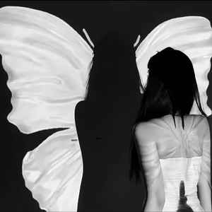 SHOW YOU CAN【菲&酥】.wav