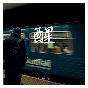 wünsche-醒（S. Young remix）