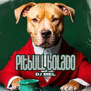 Pitbull Bolado