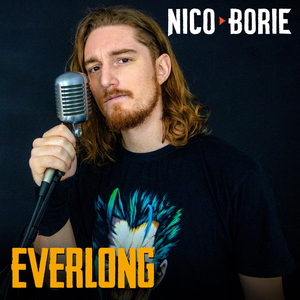 Everlong (Cover)