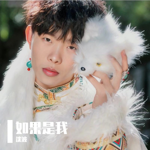 如果是我