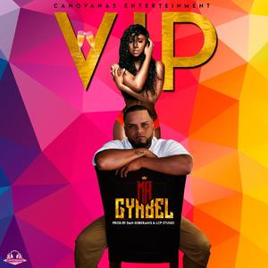 VIP (VIP) (VIP)