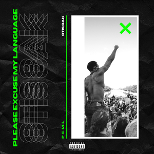 Please Excuse My Language