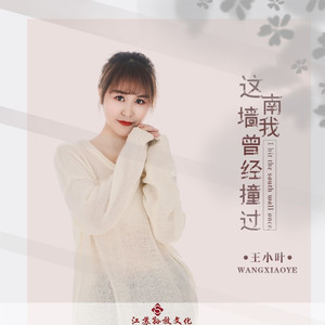 这南墙我曾经撞过 (DJ版)