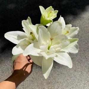 大好きなキミの傍に行きたい