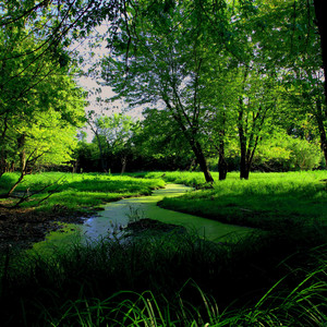 Chanhassen Swap Symphony