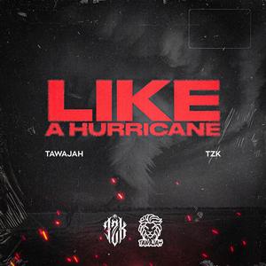Like a Hurricane (feat. TZK) (Radio Edit)