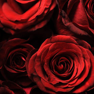 对往事的一段回忆