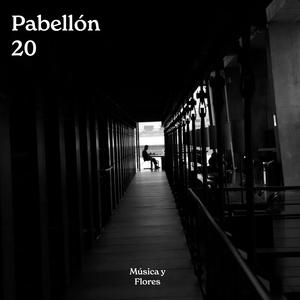 Pabellón 20