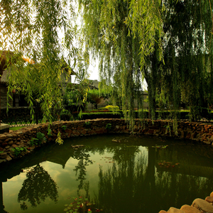 贝多芬小提琴奏鸣曲No.8第一乐章