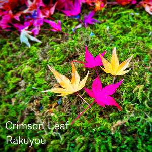 From Symphony No.40 (Nano version)