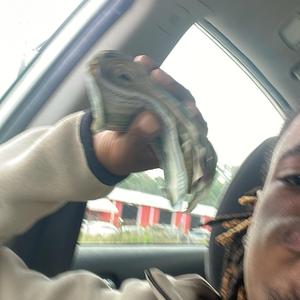 Metal (feat. SpankOGF)