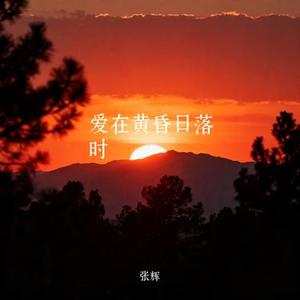爱在黄昏日落时