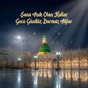 Sana Aşık Olan Kullar Gece Gündüz Durmaz Ağlar