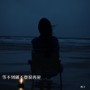 等不到就不要说再见